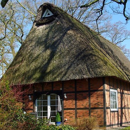 Gästehaus Eulennest Grossenworden Exterior foto
